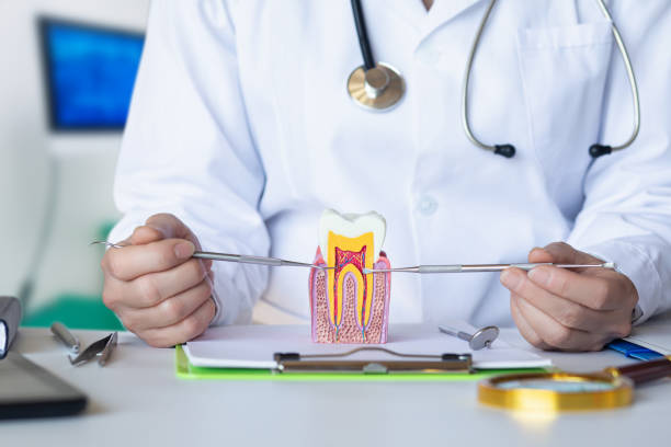 Best After-Hours Dental Trauma Care in Jackson Center, OH
